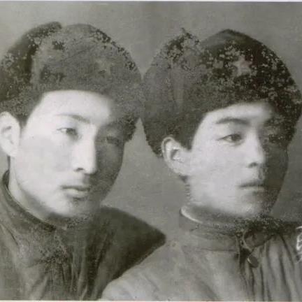 学生野战视频最新分析与观察报告分享