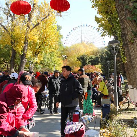 沈阳地面波最新研究与应用分析