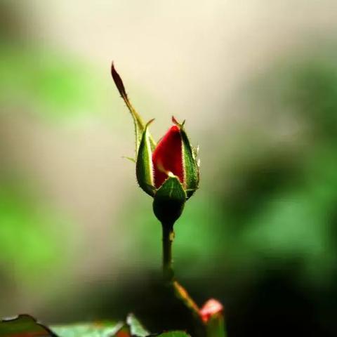 最新晚安心语温馨短句