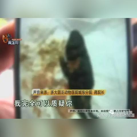 最新土狗配种高清视频，揭秘配种科学与艺术