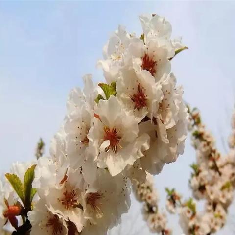 莱芜最新地图详解