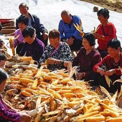 景东最新招聘信息汇总