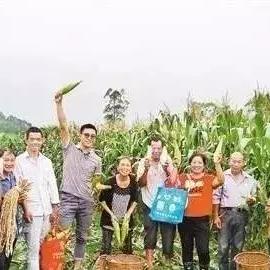 景东最新招聘信息汇总