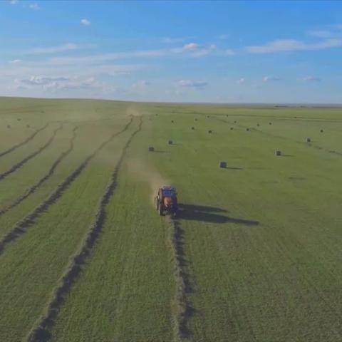 双刀最新打草机，科技革新与高效工作的融合典范