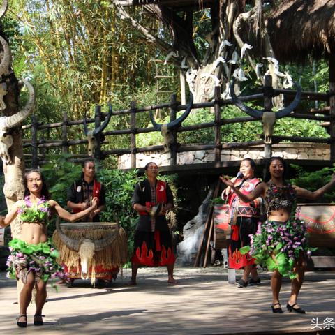 双刀最新打草机,科技革新与高效工作的融合典范