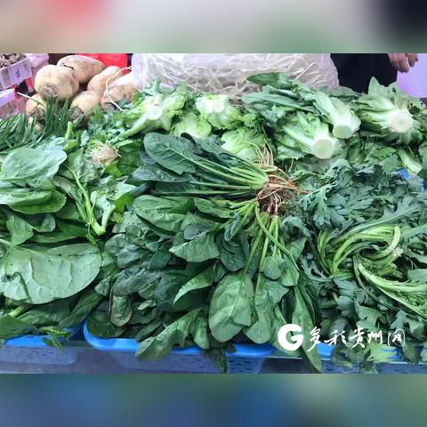 贵阳菜场摊位出租信息最新详解