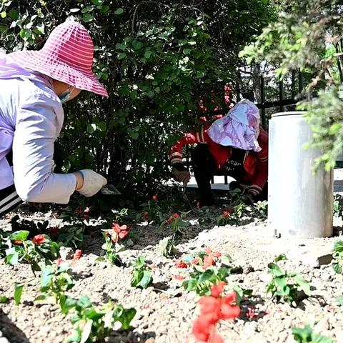 朔州最新招聘信息全收录