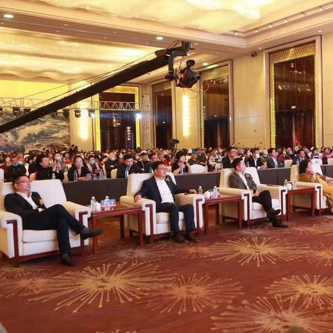 贵金属黄金最新动态深度解读