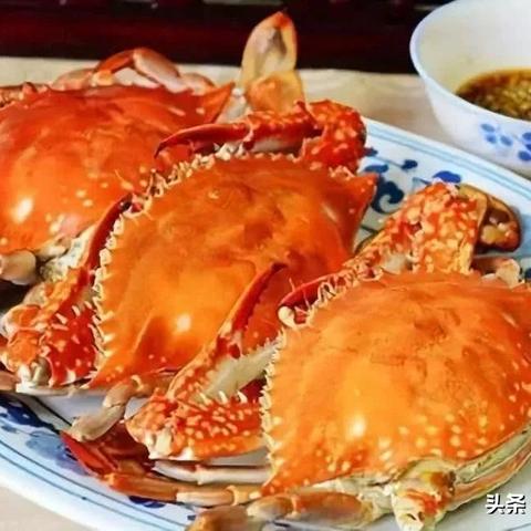 黄骅最新地图详细解析