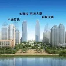 哈尔滨新区最新新闻速递