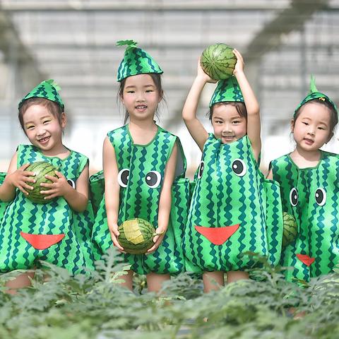 江宁溪田农业数字化智能化发展引领现代农业新篇章