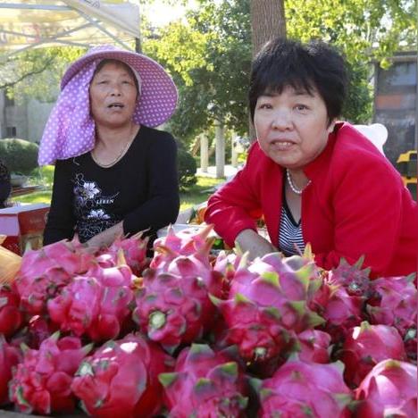 台湾妹引领潮流文化风潮，最新数字高地数据报告（XXXX年）