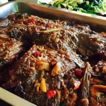 天津垂钓园最新指南