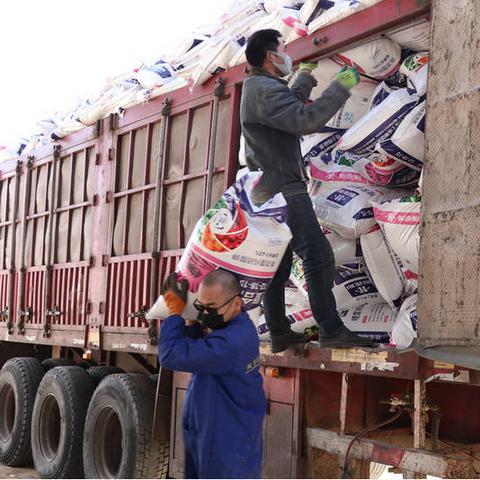 陕西定边西瓜价格走势分析