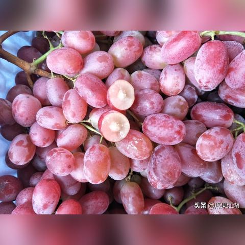 河南西瓜价格行情最新分析