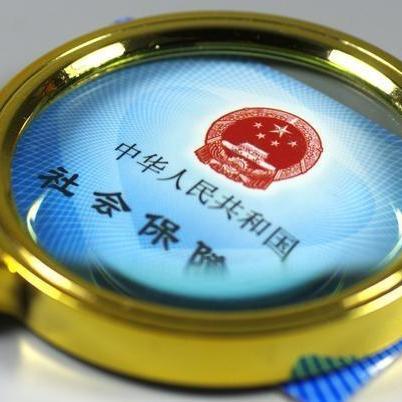 干部档案年龄最新规定解析