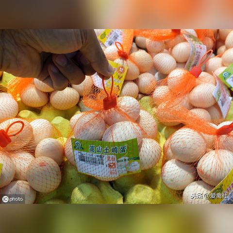 河南鸡蛋今日最新价格走势分析