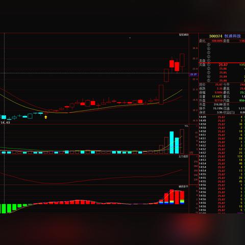 罗顿发展最新公告解读