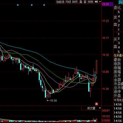 罗顿发展最新公告解读