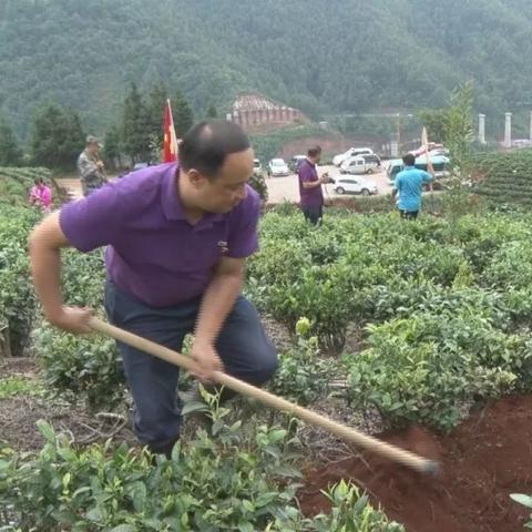 芒市最新干部公示信息发布