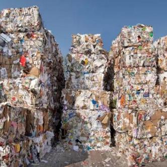 废纸价格最新动态,市场趋势展望 2025年行情分析