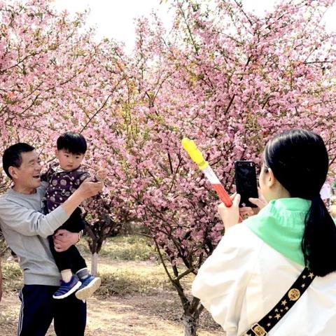 商丘古城改造新图景，历史风貌与现代魅力融合展现