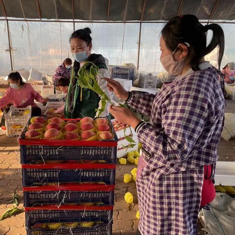 乐亭通新闻速递