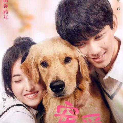 黄渤最新电影,期待与惊喜交织的视听盛宴