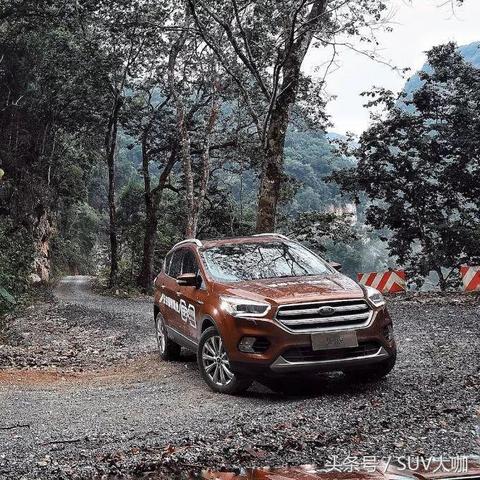 私房片最新网站，影视娱乐新领域探索