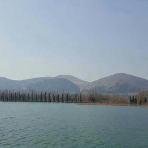 宿州元一最新动态，城市新面貌蓬勃发展