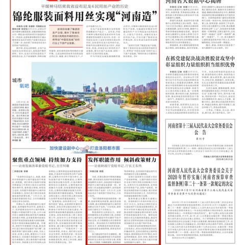 洛阳担保公司高管非法集资获刑，行业监管亟待强化