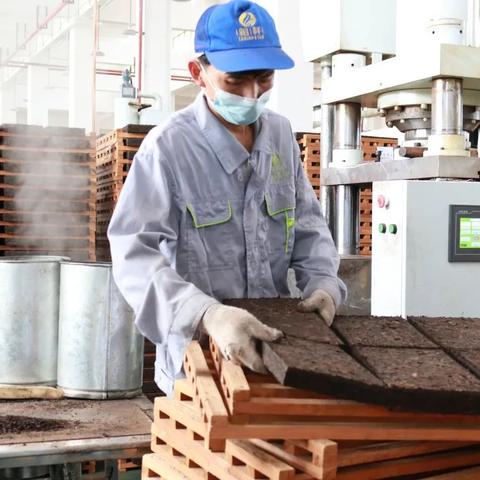 西藏发展重组新动向,数据揭示繁荣脉络