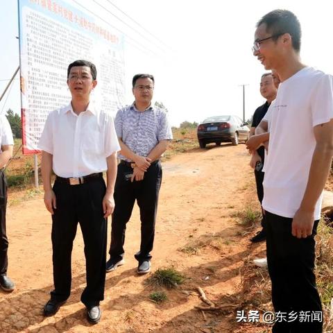 东乡马圩命案真相深度解析