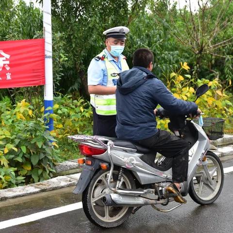 临沂交通违章查询数据报告更新