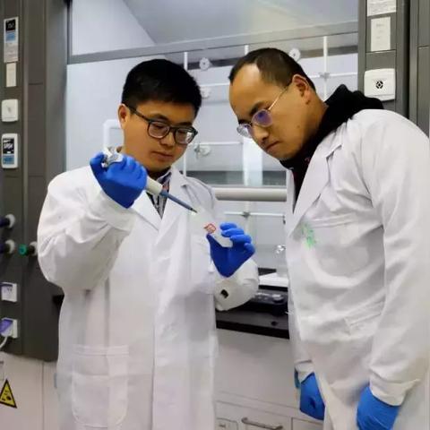 蓖麻油价格走势及分析