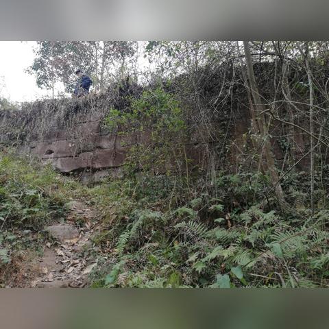 安岳文化镇最新资讯速递