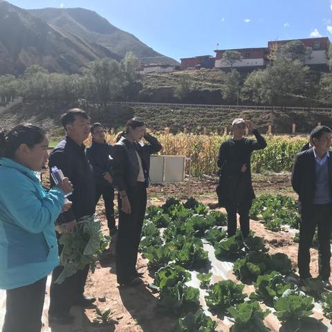 昌都市最新图片展示与发展概览