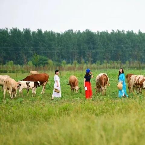 星辰之恋,耽美小说最新章节速递