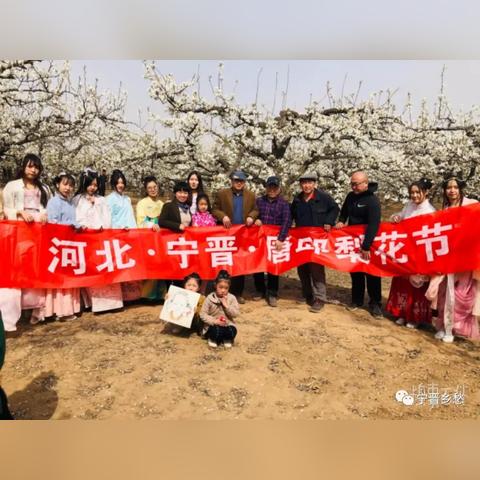 宁晋双井最新进展信息速递