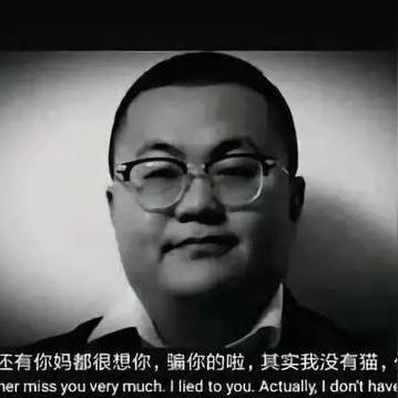 王者荣耀鬼畜新曲揭秘,数据背后的音乐狂欢