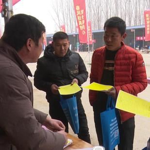 莘县招聘信息最新概览