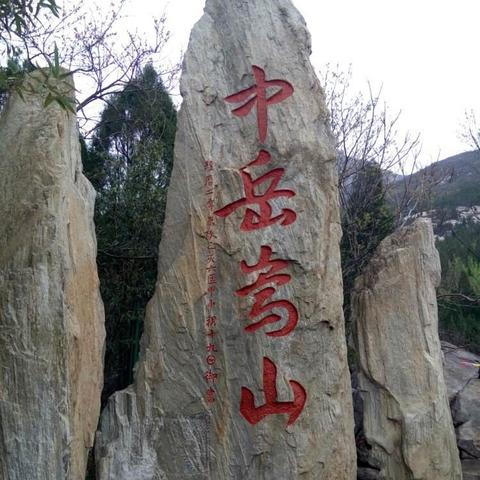 通天武帝最新章节深度解析