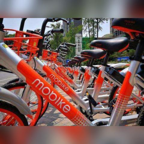 摩拜单车最新解析,运营数据、技术细节及未来趋势展望