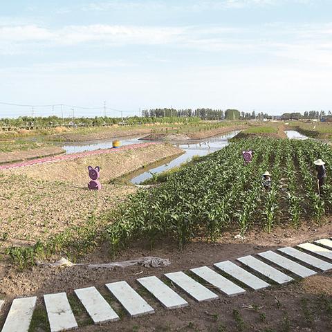 淤溪镇最新资讯速递