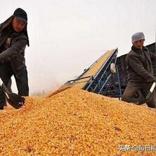 绥化楼房最新出售信息速递