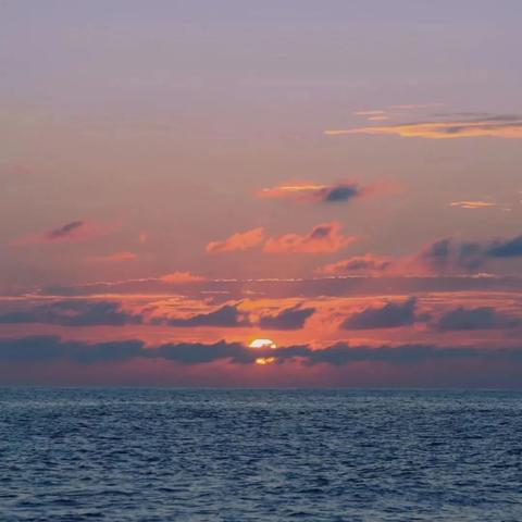 北海私人楼出售，优选投资与居住胜地