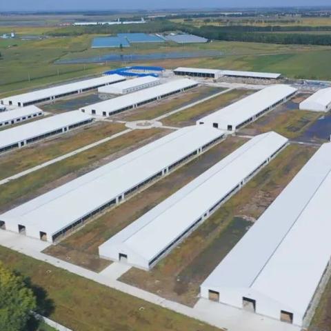 最新养殖项目推荐及市场分析概览