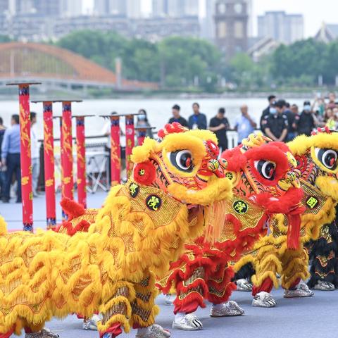 新乡平原新区最新动态,城市新引擎蓬勃发展