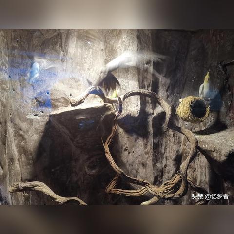 揭秘海洋奥秘，最新数据更新与发现日记