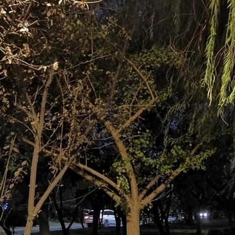 情侣早上亲密行为研究报告,新趋势揭秘